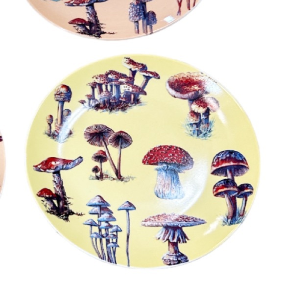 NEW Bluebird & Willow MUSHROOM APPETIZER PLATES Boxed Set/4 ๐๐๐ - Picture 3 of 5
